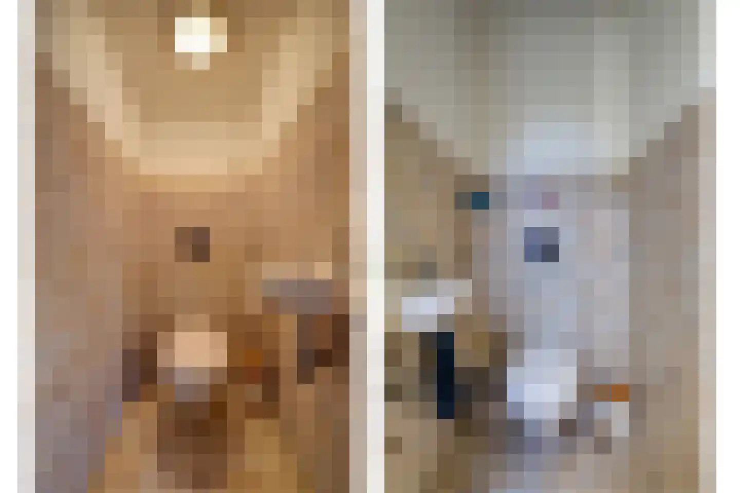 Torenstraat 1 Vlijmen thumbnail 24