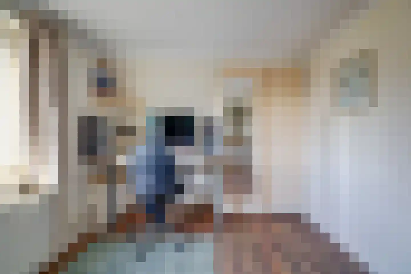 Torenstraat 1 Vlijmen thumbnail 29