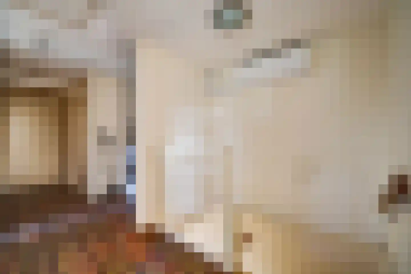 Torenstraat 1 Vlijmen thumbnail 31