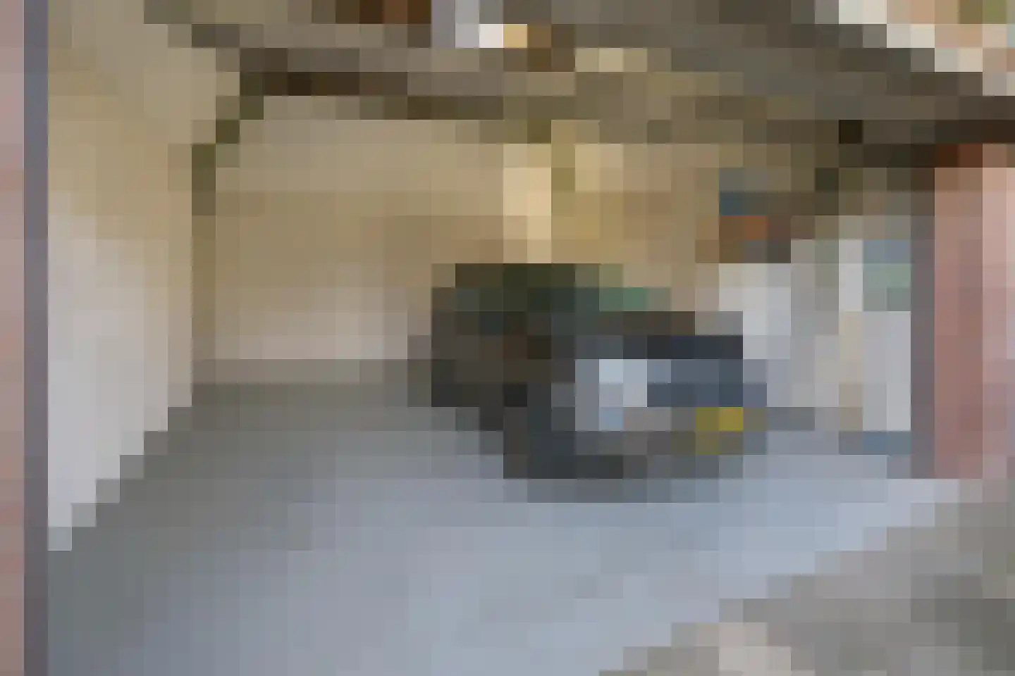 Torenstraat 1 Vlijmen thumbnail 40