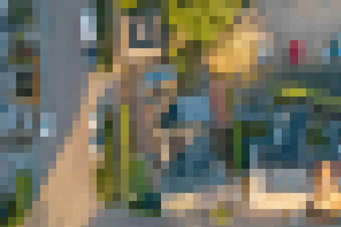 Torenstraat 1 Vlijmen thumbnail 46