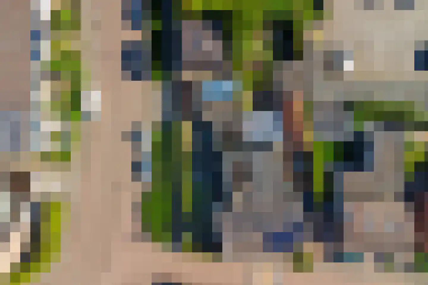 Torenstraat 1 Vlijmen thumbnail 47