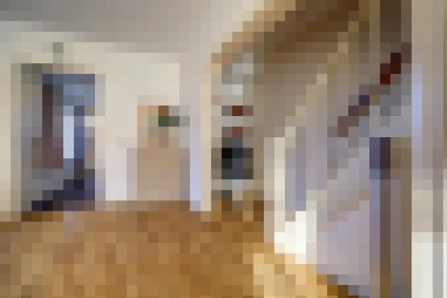 Torenstraat 1 Vlijmen thumbnail 8