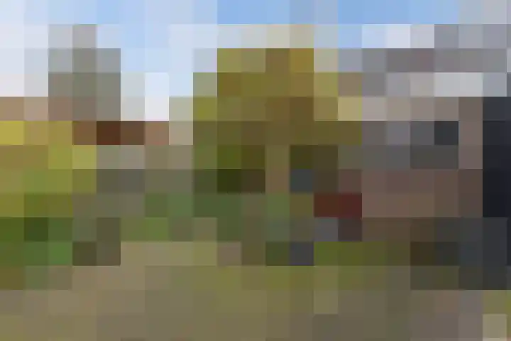 Torenstraat 103 Drachten thumbnail 26
