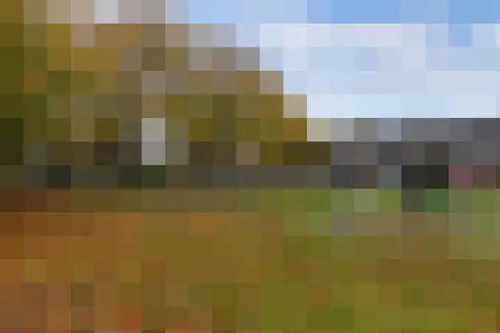 Torenstraat 103 Drachten thumbnail 30