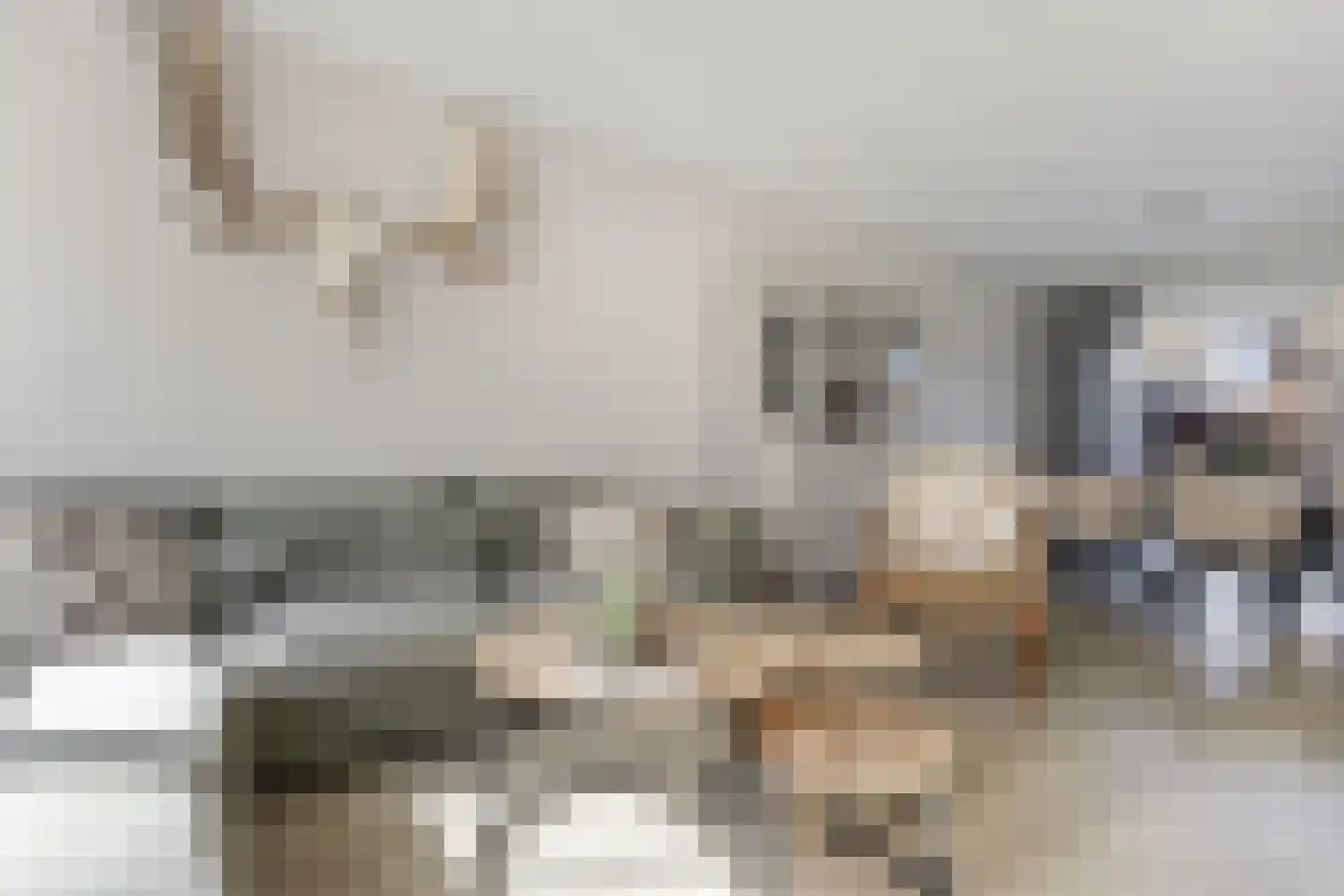 Torenstraat 105 Drachten thumbnail 12