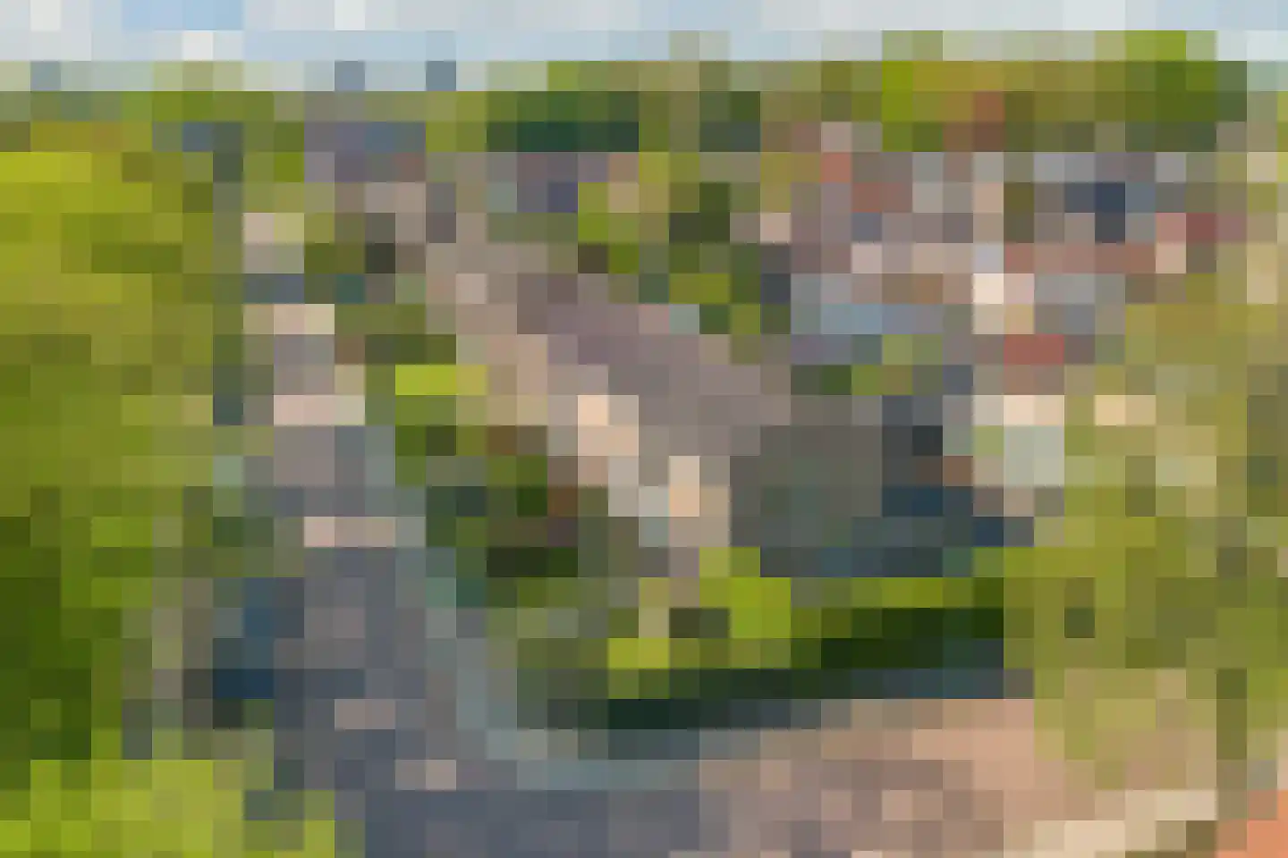 Torenstraat 105 Drachten thumbnail 51