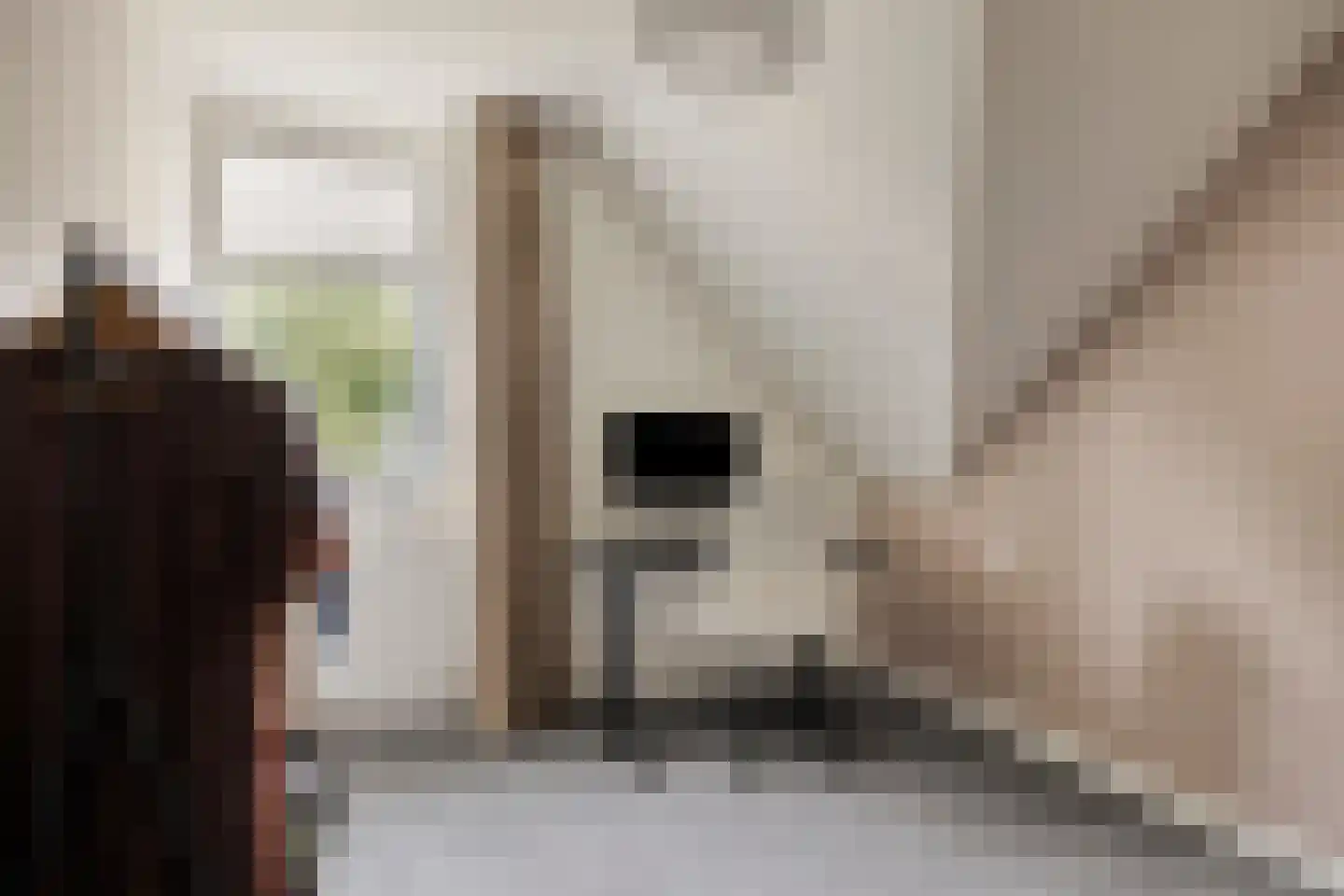 Torenstraat 107 Drunen thumbnail 24