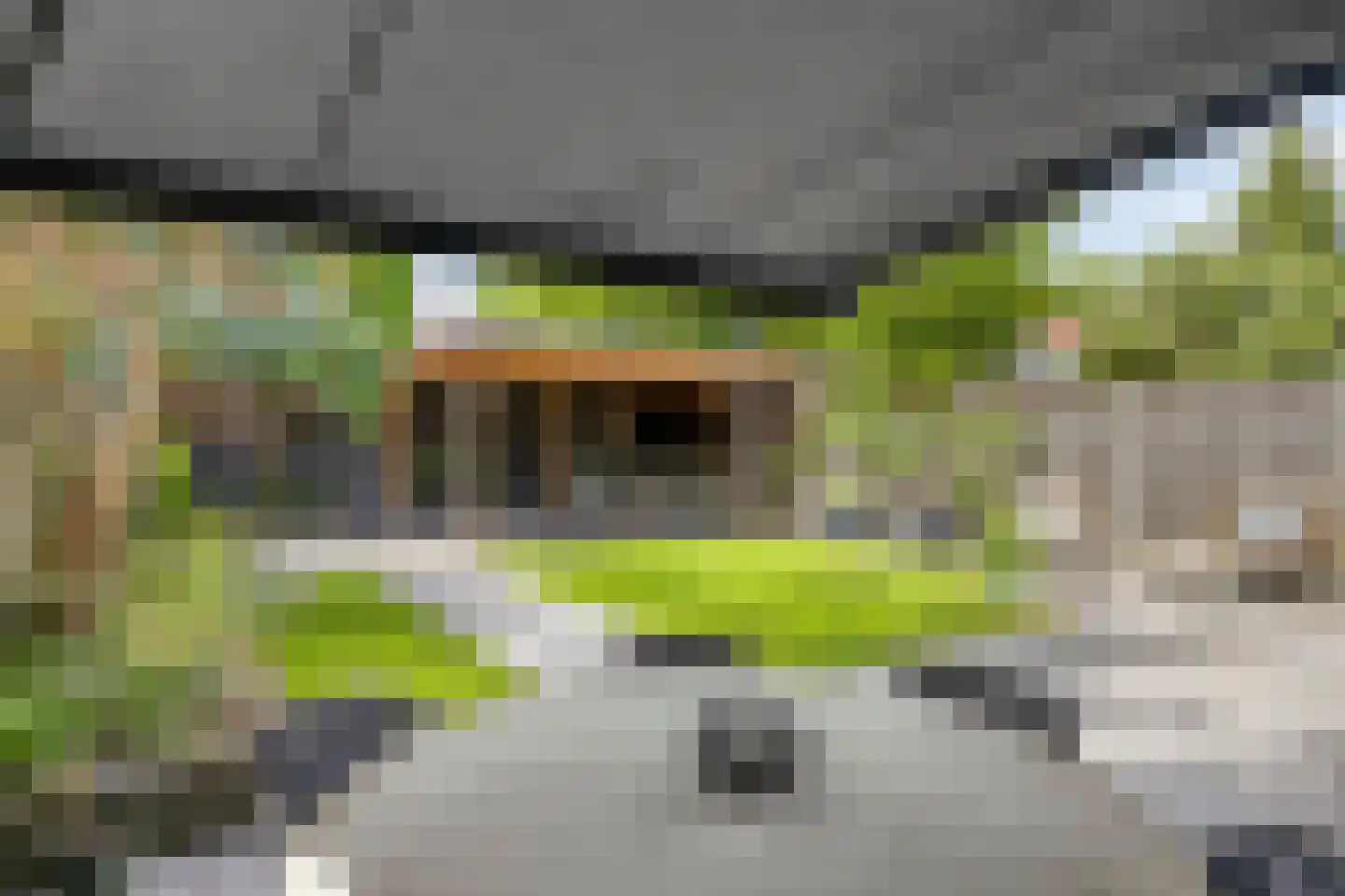 Torenstraat 107 Drunen thumbnail 34