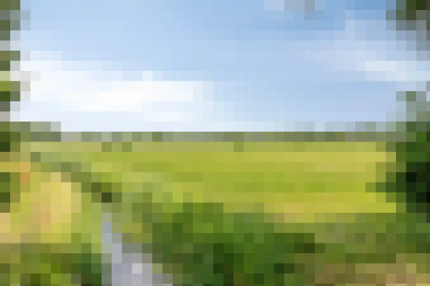Torenstraat 107 Drunen thumbnail 44