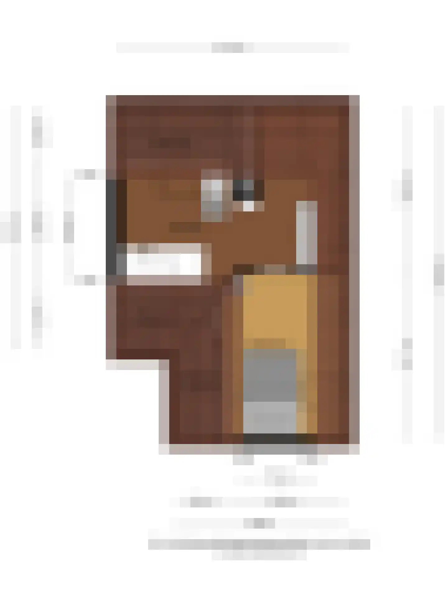 Torenstraat 107 Drunen thumbnail 48