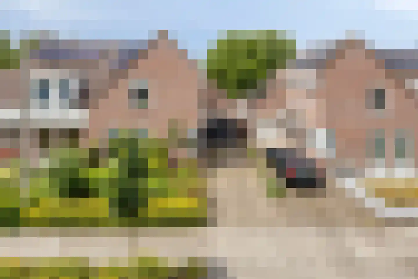 Torenstraat 107 Drunen thumbnail 7