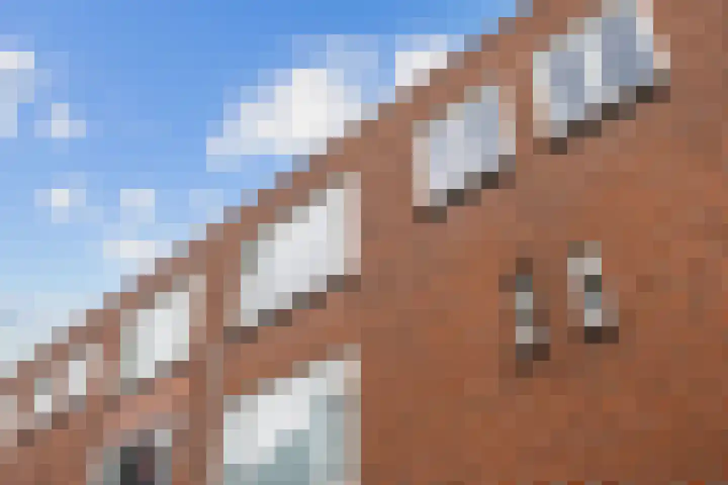 Torenstraat 11 c Groningen thumbnail 27