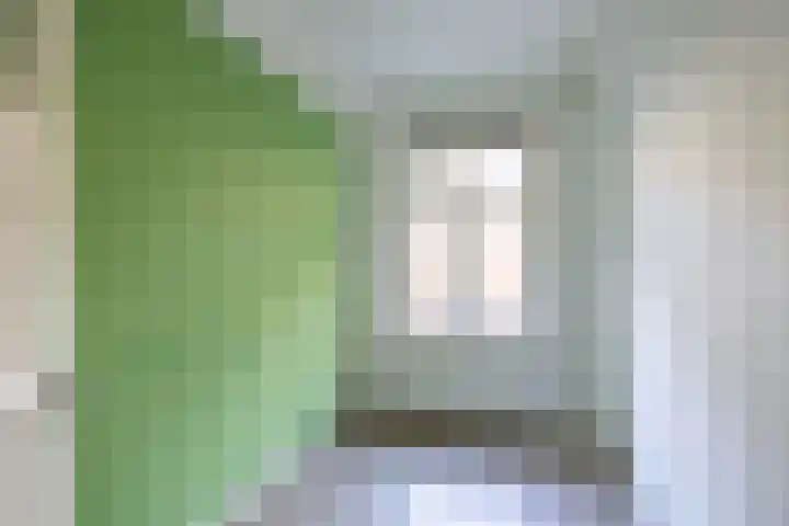 Torenstraat 11 Groningen thumbnail 20