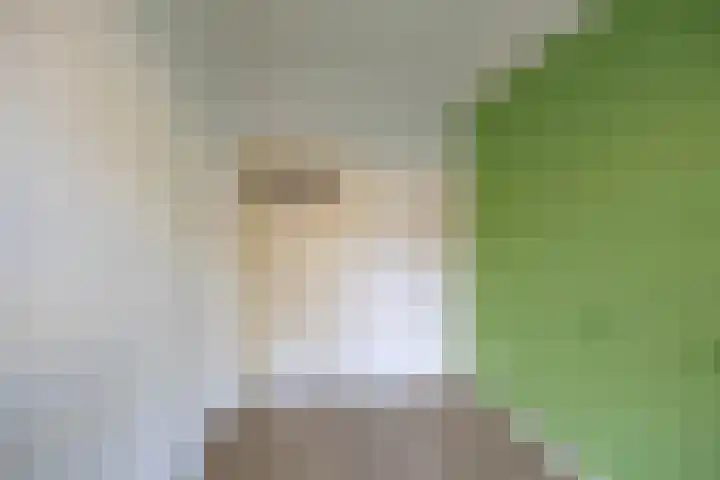 Torenstraat 11 Groningen thumbnail 22