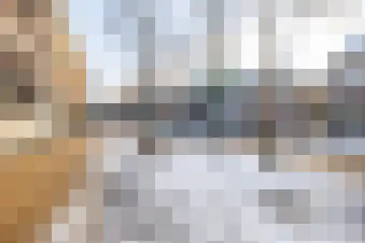 Torenstraat 11 Groningen thumbnail 4