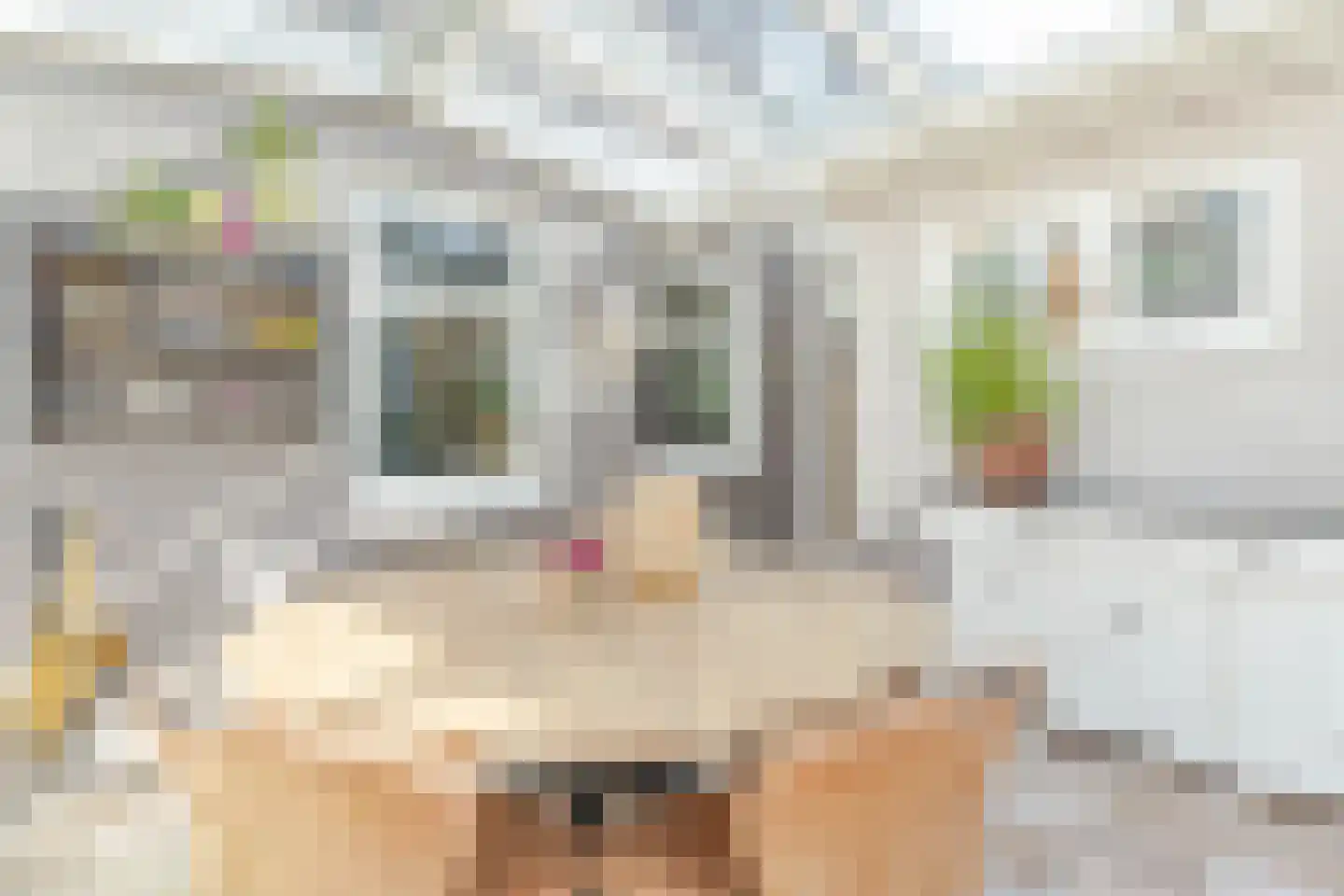 Torenstraat 11 Hazerswoude-Dorp thumbnail 6