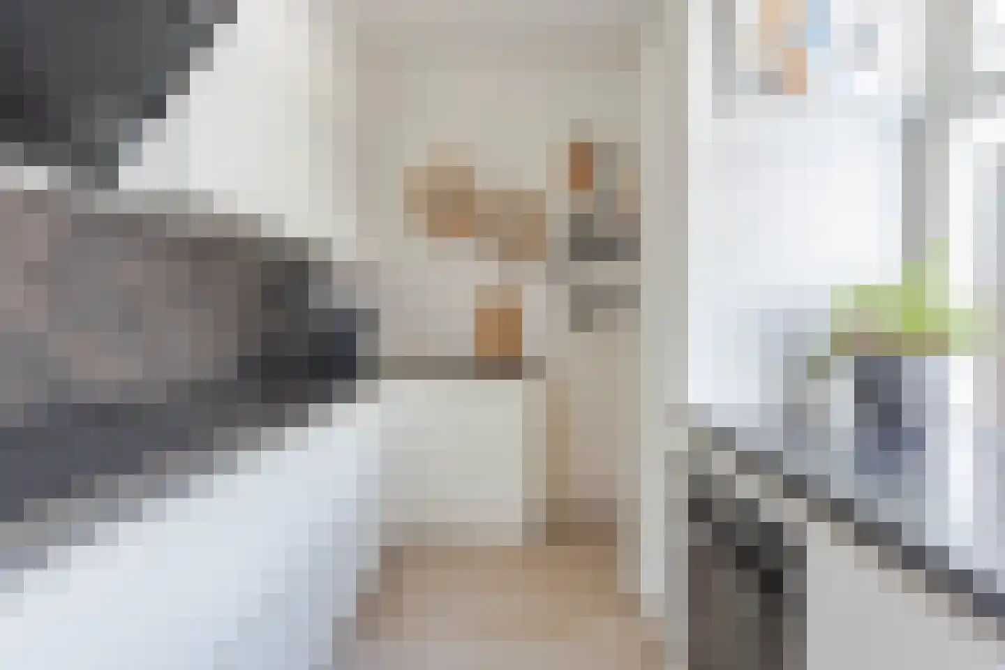 Torenstraat 11 Hazerswoude-Dorp thumbnail 7