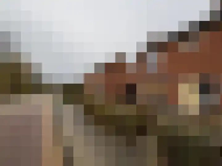 Torenstraat 11 Kolhorn thumbnail 4