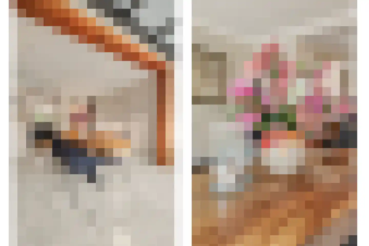 Torenstraat 112 Drunen thumbnail 18