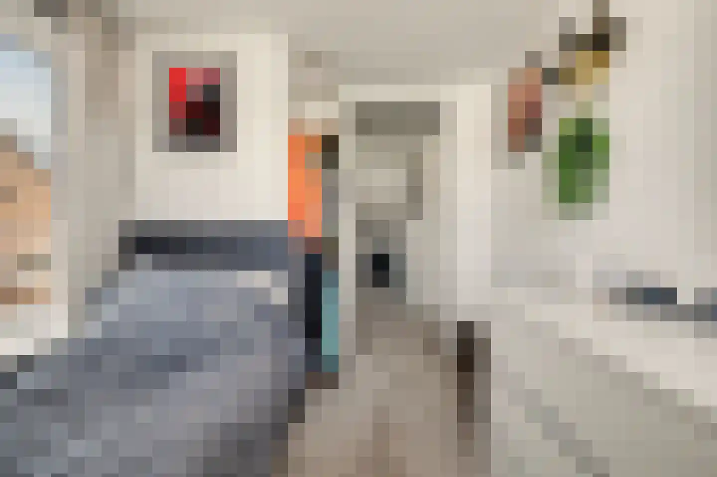 Torenstraat 112 Drunen thumbnail 28