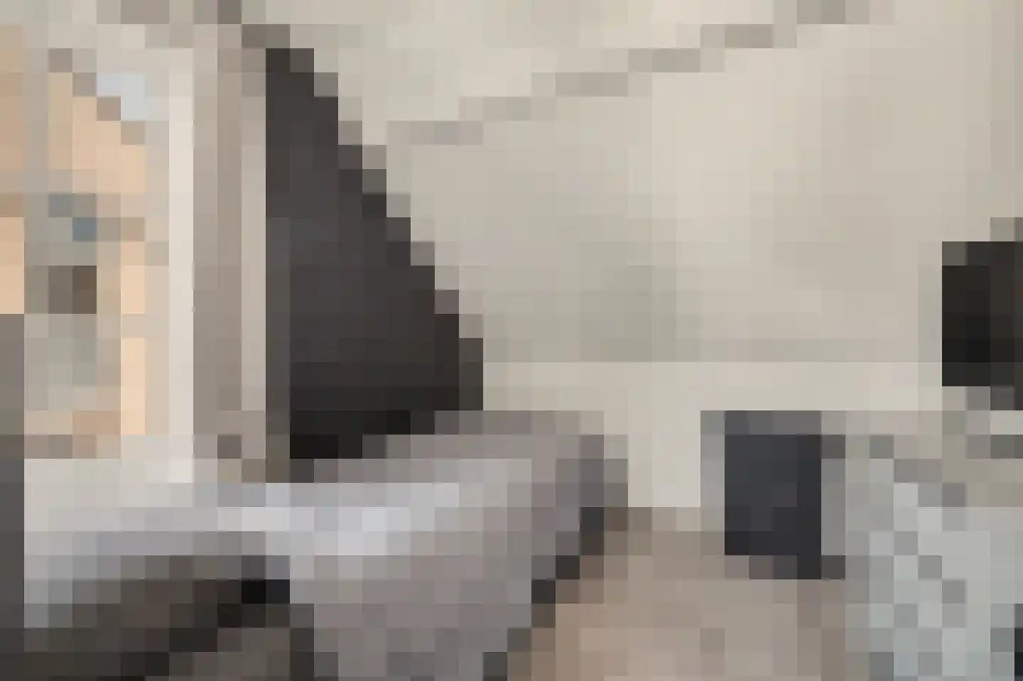 Torenstraat 112 Drunen thumbnail 29