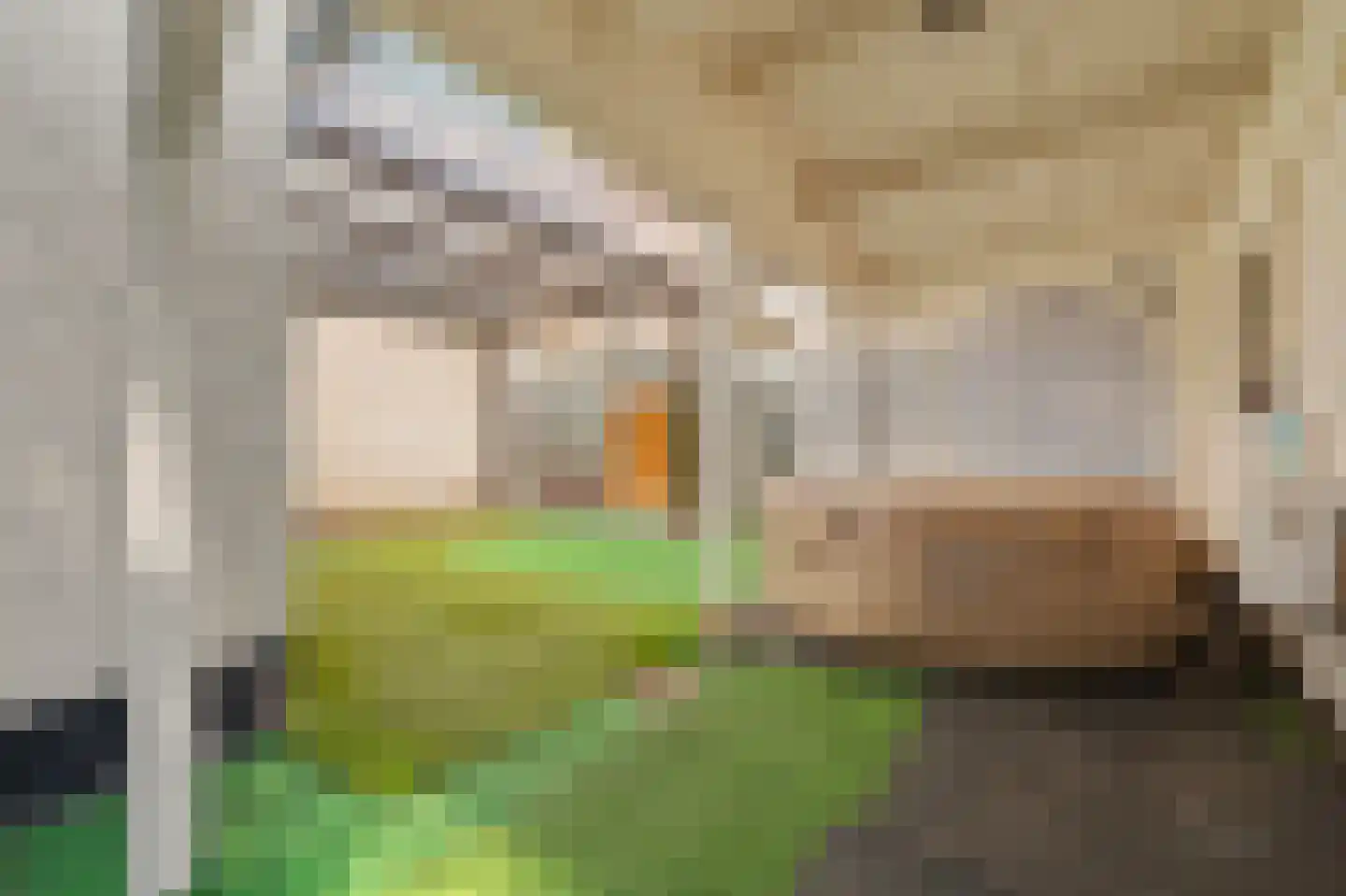 Torenstraat 112 Drunen thumbnail 43