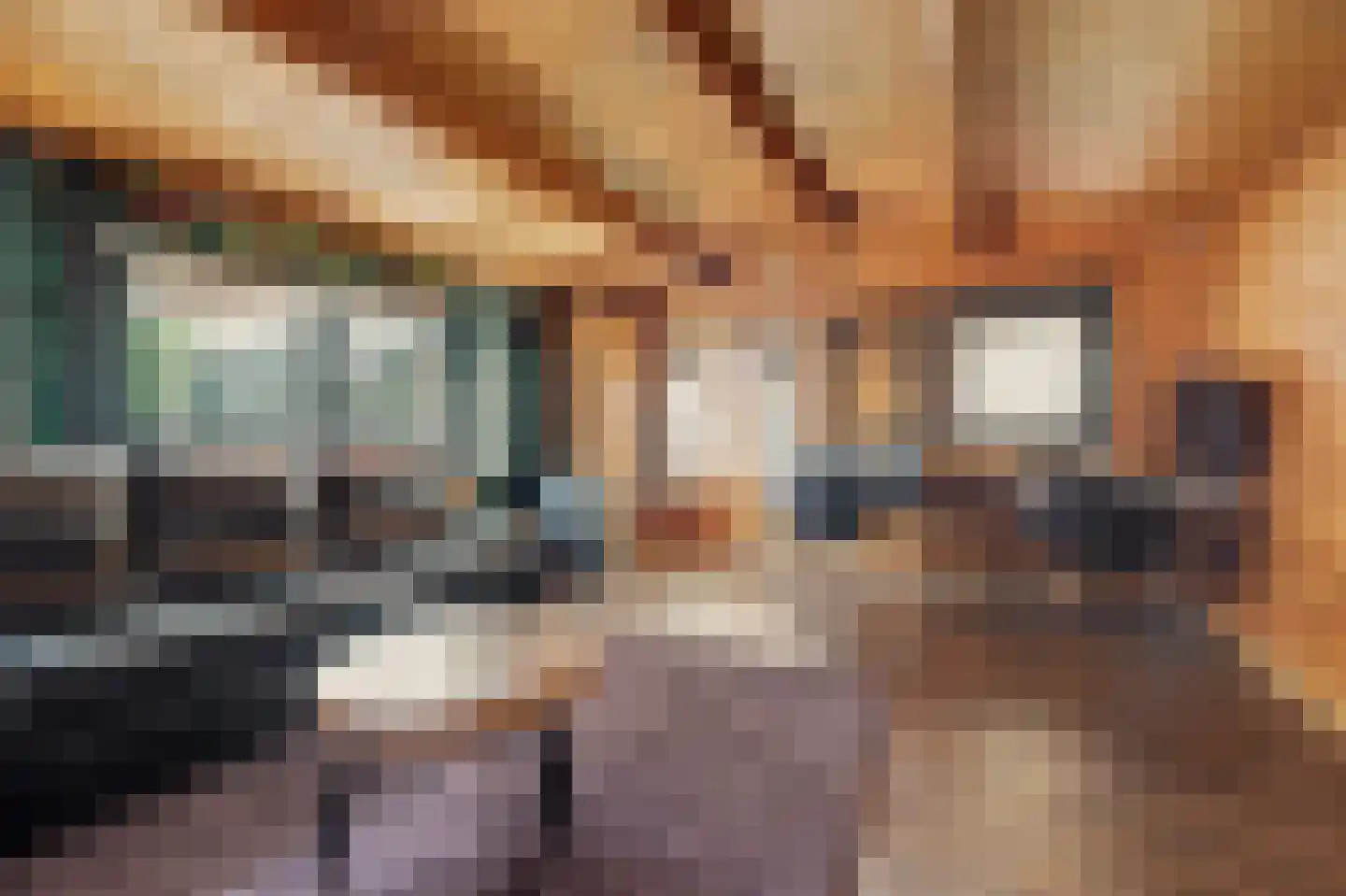 Torenstraat 112 Drunen thumbnail 47