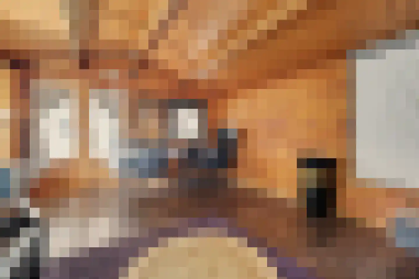 Torenstraat 112 Drunen thumbnail 48
