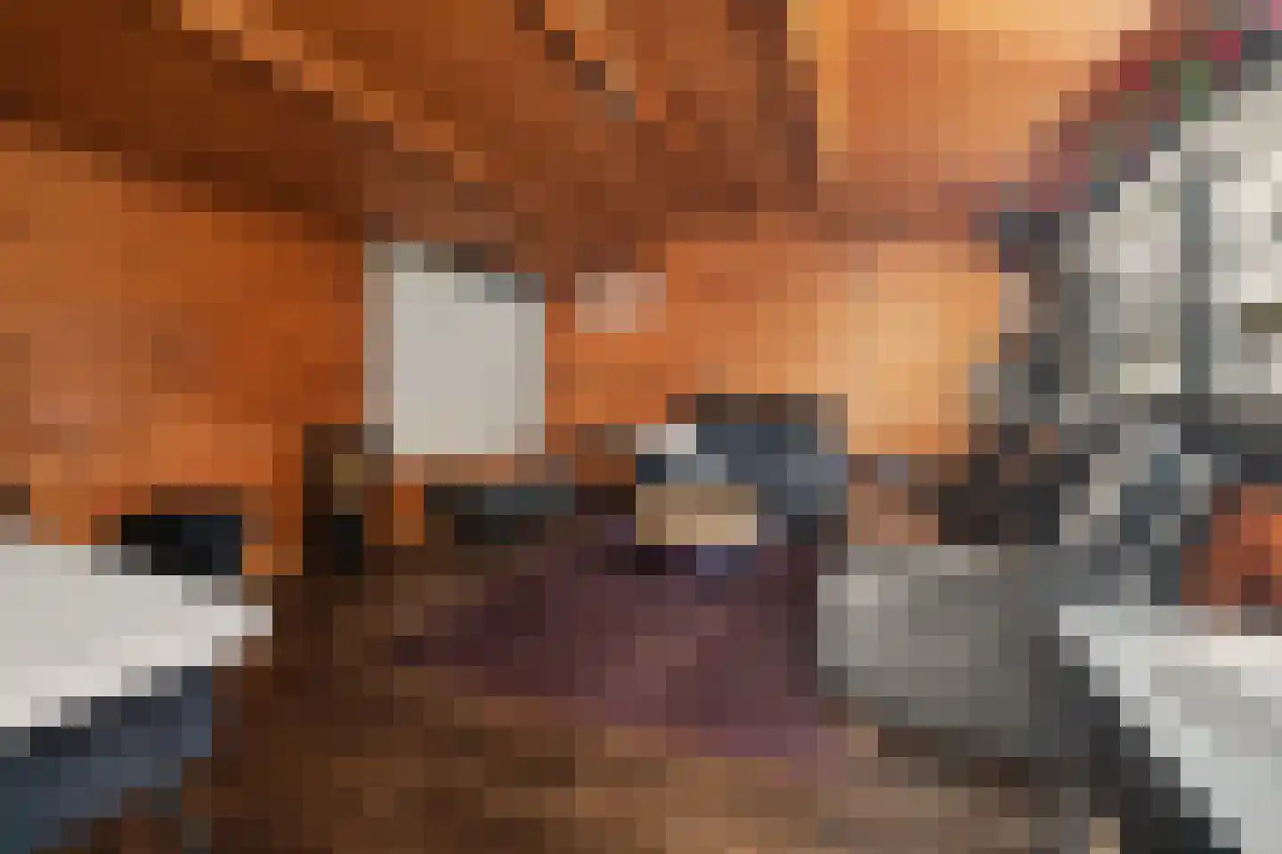 Torenstraat 112 Drunen thumbnail 49