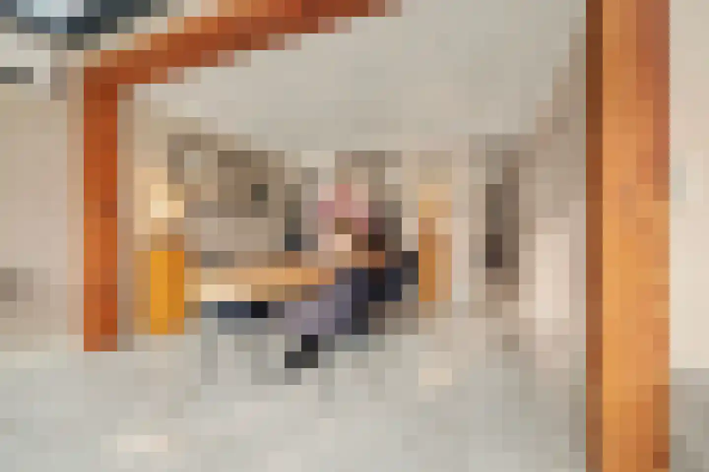 Torenstraat 112 Drunen thumbnail 5