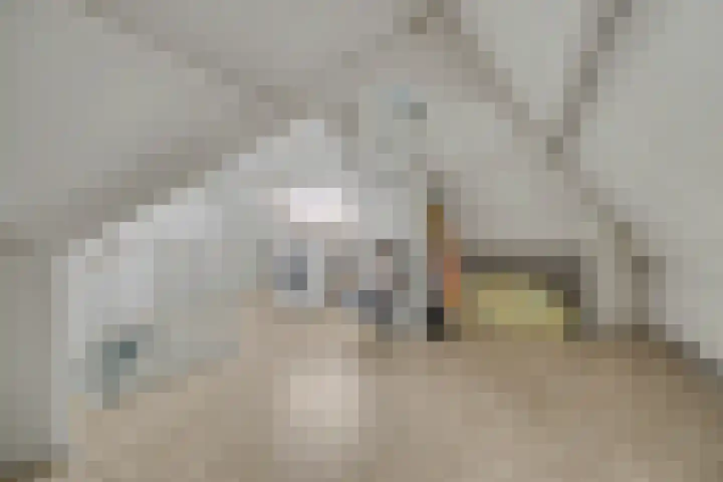 Torenstraat 115 Drunen thumbnail 32
