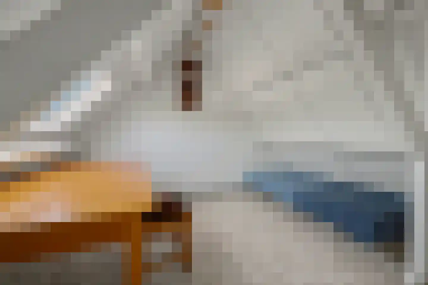 Torenstraat 115 Drunen thumbnail 35