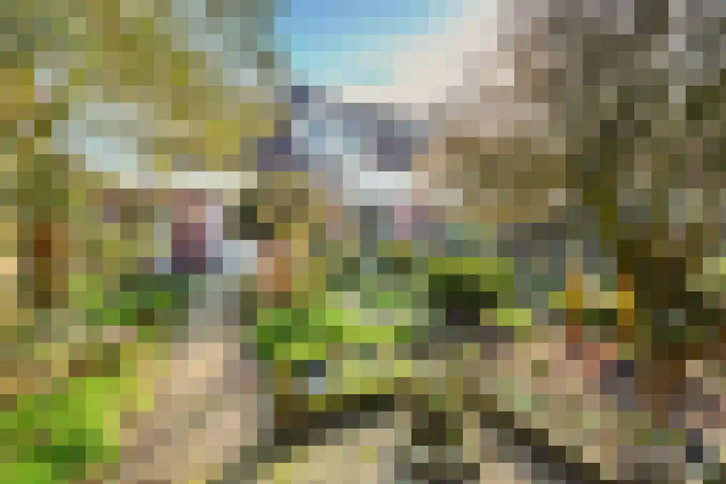 Torenstraat 115 Drunen thumbnail 39