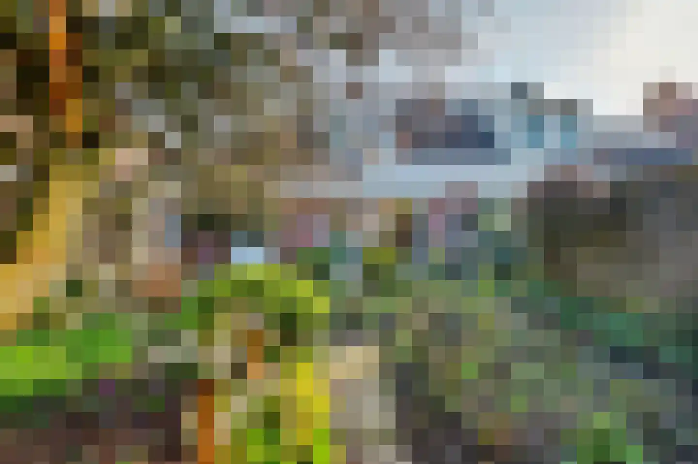 Torenstraat 115 Drunen thumbnail 40