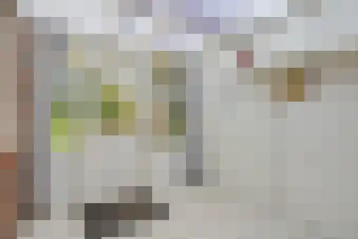 Torenstraat 122 Drunen thumbnail 21