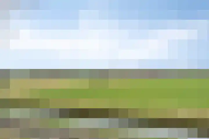 Torenstraat 122 Drunen thumbnail 4