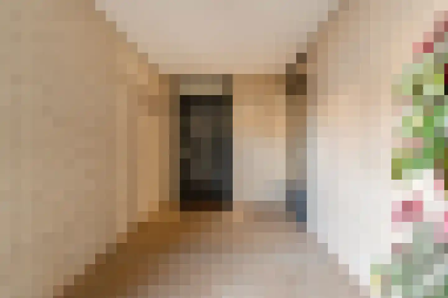 Torenstraat 127 Den Haag thumbnail 5