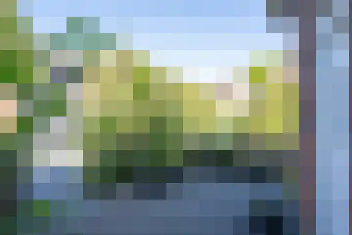 Torenstraat 14 Heukelum thumbnail 8