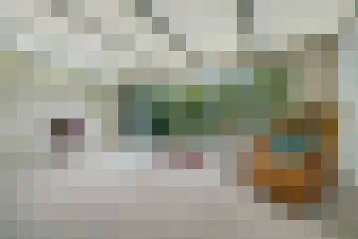 Torenstraat 145 Drunen thumbnail 15