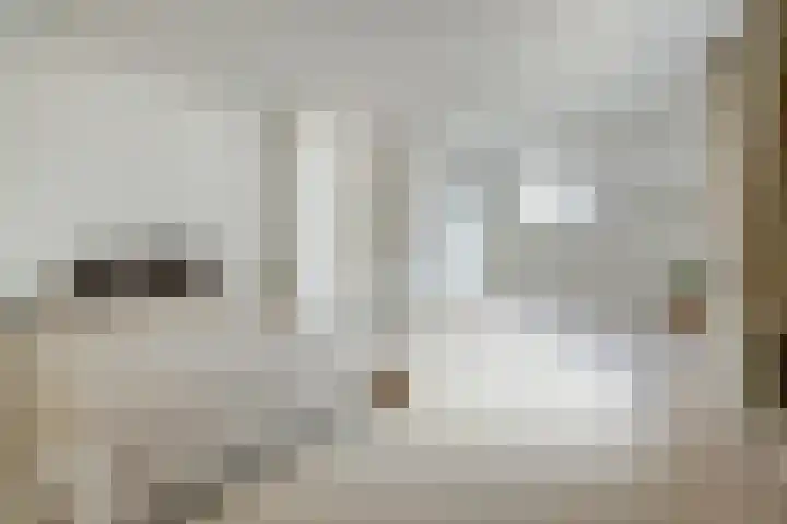 Torenstraat 145 Drunen thumbnail 23