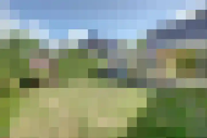 Torenstraat 145 Drunen thumbnail 32