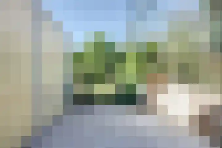 Torenstraat 145 Drunen thumbnail 33