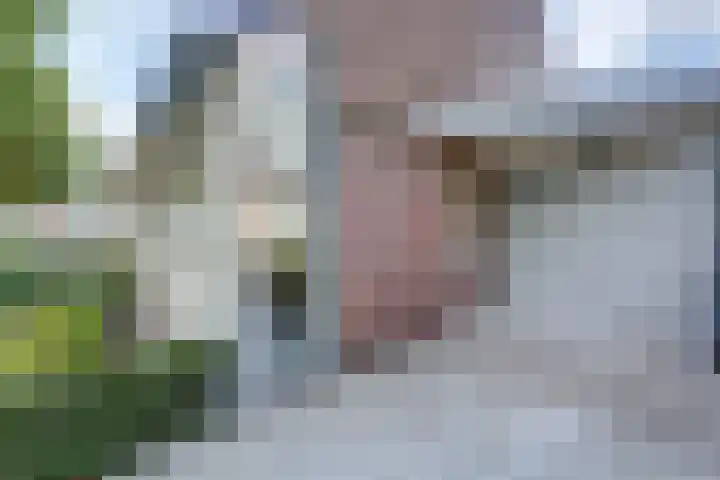 Torenstraat 145 Drunen thumbnail 35
