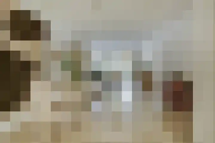 Torenstraat 145 Drunen thumbnail 4