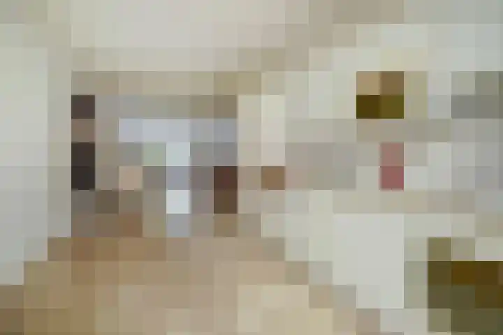 Torenstraat 145 Drunen thumbnail 8