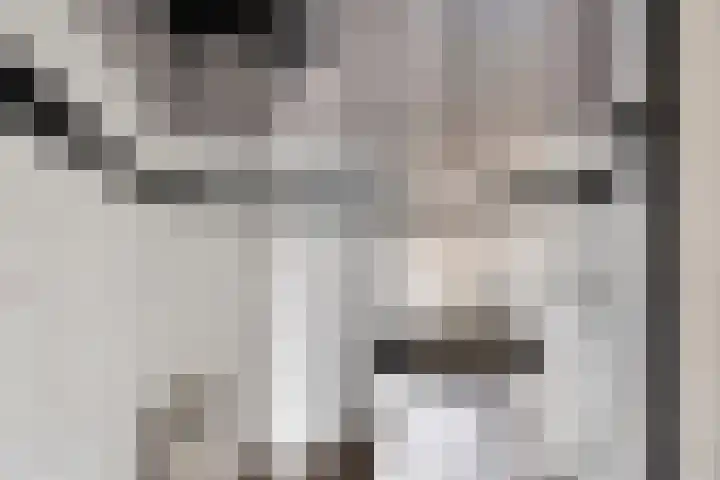 Torenstraat 15 Ezinge thumbnail 25