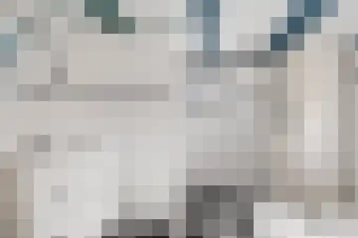 Torenstraat 15 Ezinge thumbnail 27