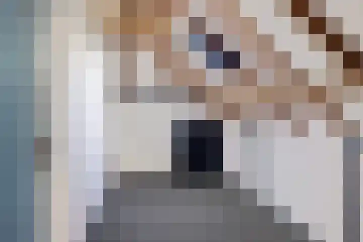 Torenstraat 15 Ezinge thumbnail 33