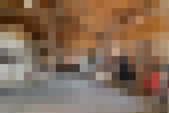 Torenstraat 15 Ezinge thumbnail 37